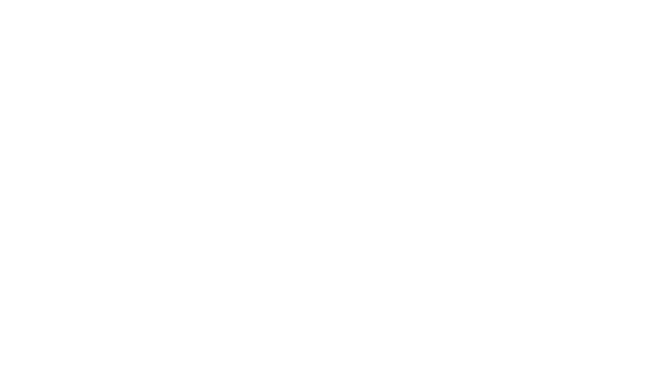 Toyo Seat Kft. logó