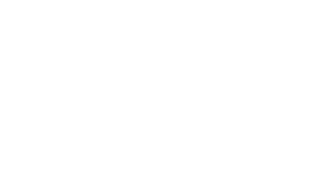 STA-TL Kft. logó