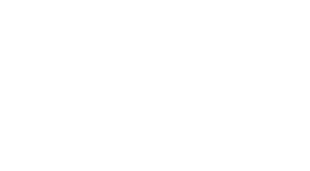 Magyar Vagon logó